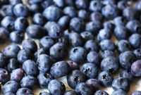 The Art of Freezing Blueberries for Smoothies and Baked Treats