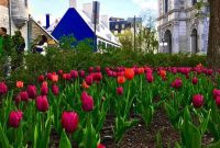 Quebec’s Ancient Capital: Old Quebec City