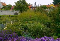 Sweden’s Nordic Allure: Unearthing Gotland’s Island Secrets