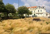 La Rochelle’s Regional Treasures Saint Savinien La Roche Courbon Bordeaux Fouras