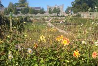Southeast Ireland’s Treasures: Kilkenny, Cashel, Durrow, and Wedding Memories
