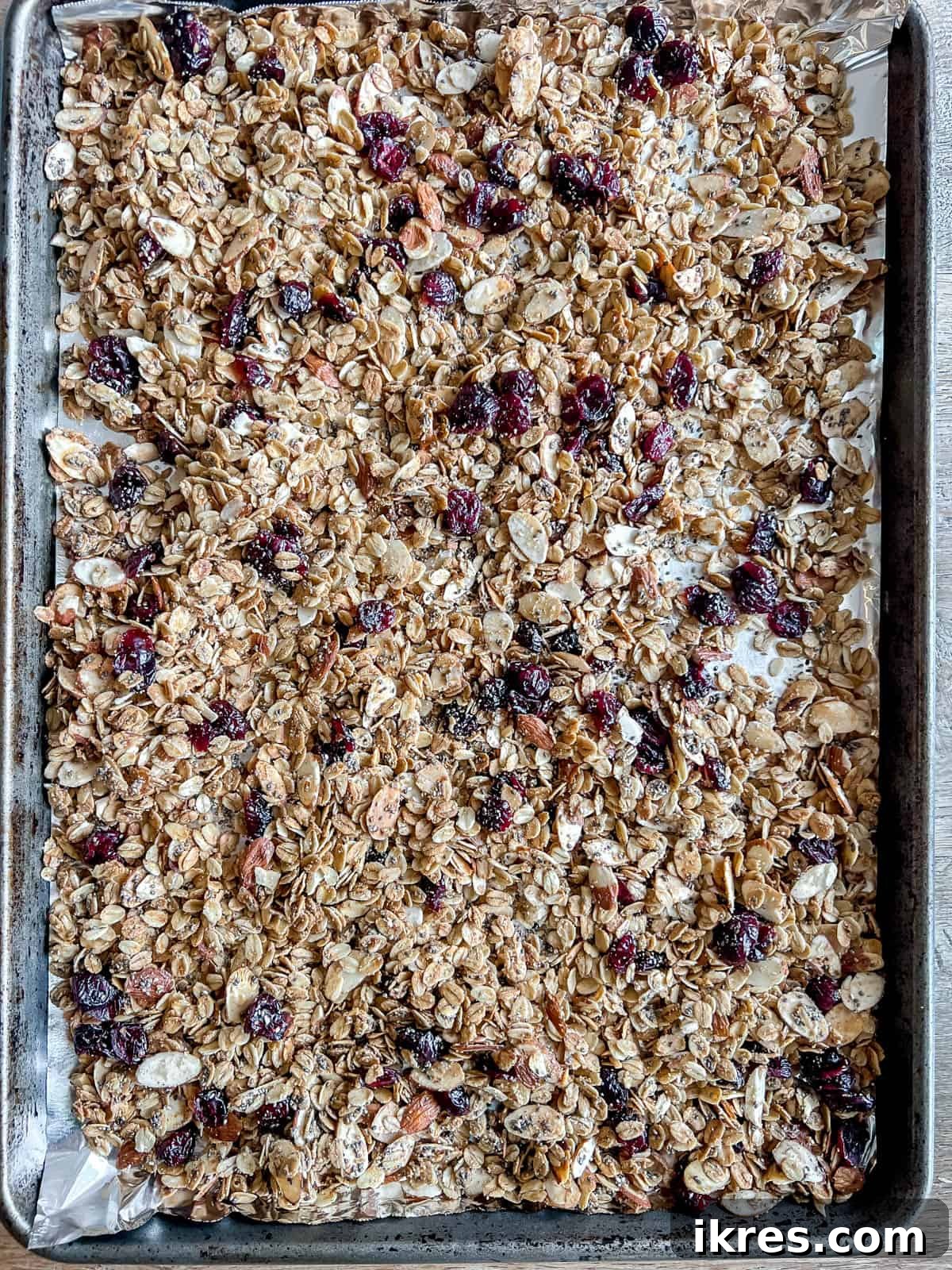 Granola with almonds and chia seeds and cranberries added during baking.