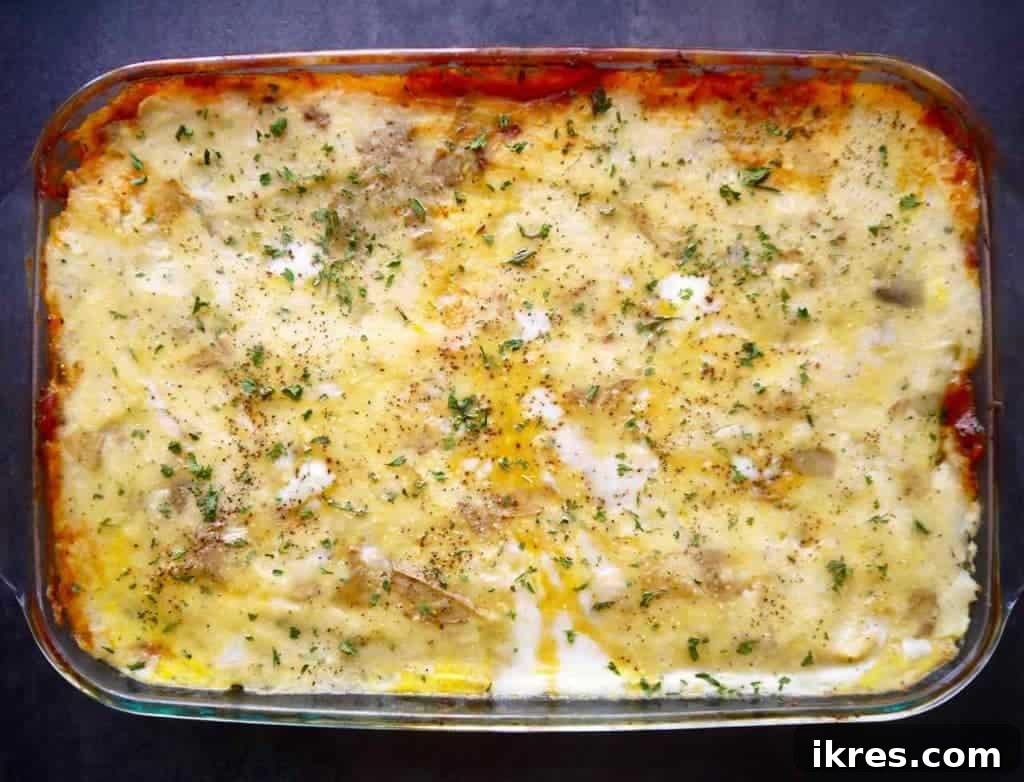 A whole pan of freshly baked paleo shepherd's pie, golden and bubbly straight from the oven.