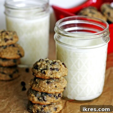 Delicious Oatmeal Chocolate Chip Cookies