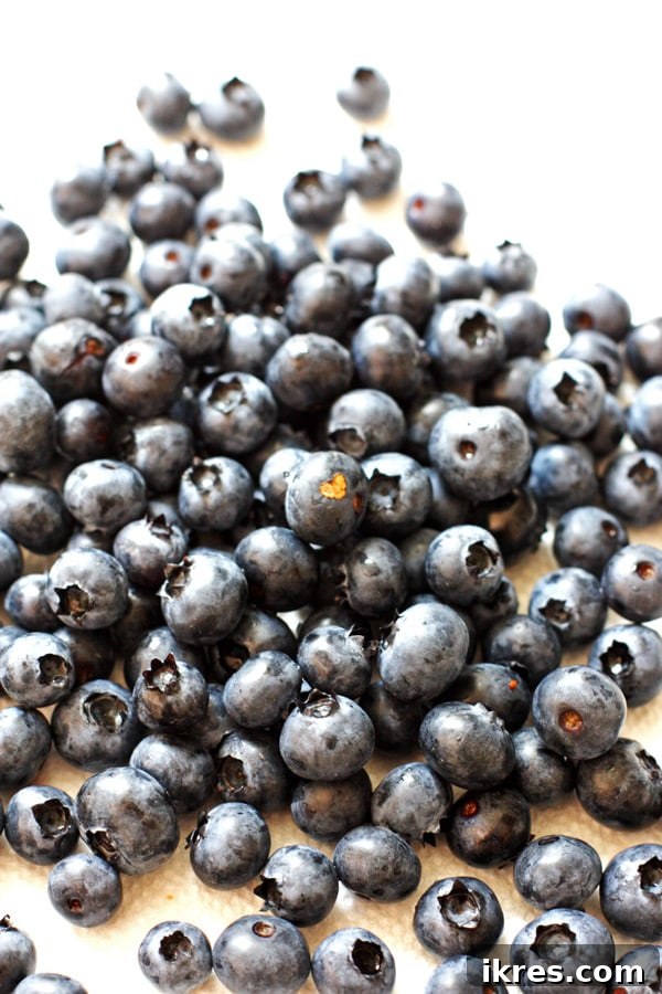 The Art of Freezing Blueberries for Smoothies and Baked Treats 5 Blueberries