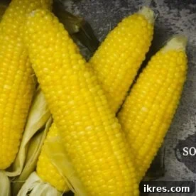Instant Pot Corn on the Cob
