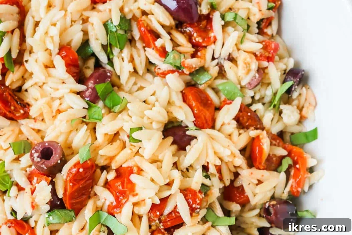 Pasta Salad with Roasted Tomatoes, olives, fresh basil, and lemon dressing