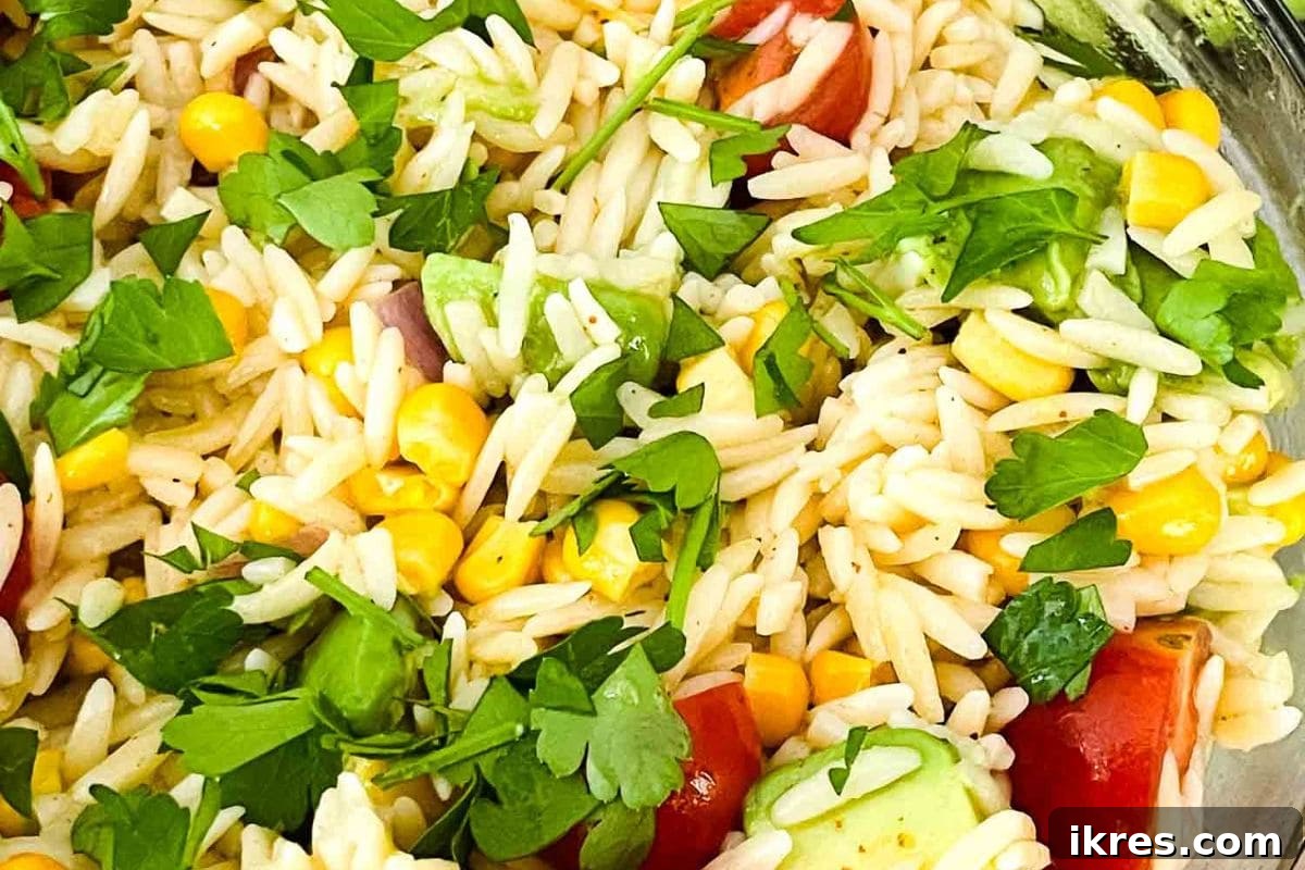 Mexican Orzo Pasta Salad with corn, avocado, tomatoes, and herbs