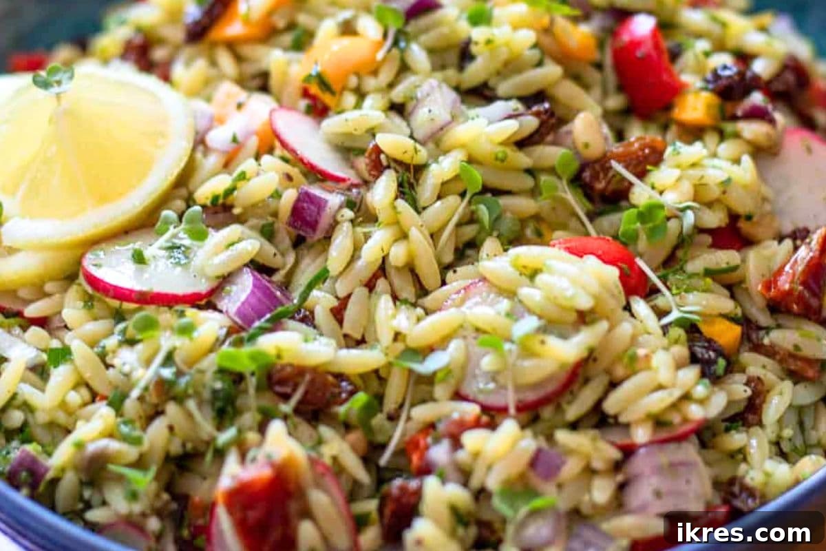Fresh Orzo Pasta Salad with pesto and vegetables