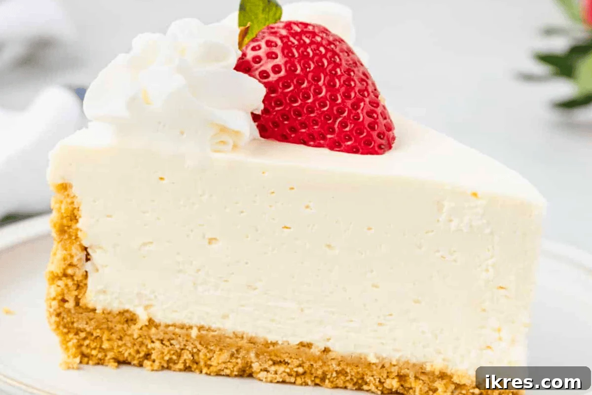 No Oven, No Sweat: 19 Easy Desserts to Cool Your Summer 14 Silky smooth No-Bake Vanilla Cheesecake with a buttery graham cracker crust, a classic elegant dessert.