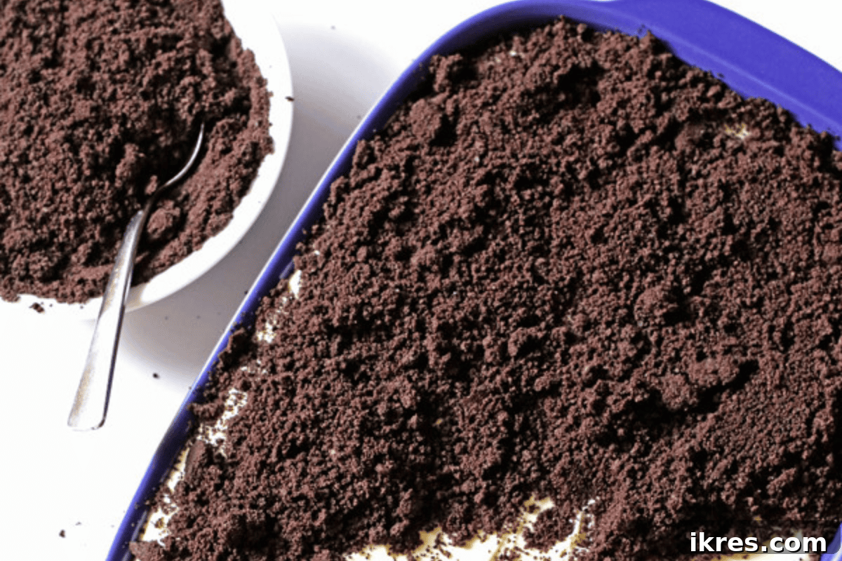 No Oven, No Sweat: 19 Easy Desserts to Cool Your Summer 19 Fun and playful No-Bake Dirt Cake with layers of crushed Oreos and creamy pudding.