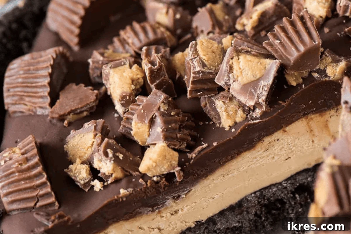 No Oven, No Sweat: 19 Easy Desserts to Cool Your Summer 4 Indulgent No-Bake Chocolate Peanut Butter Cup Pie with a rich chocolate crust and creamy peanut butter filling.