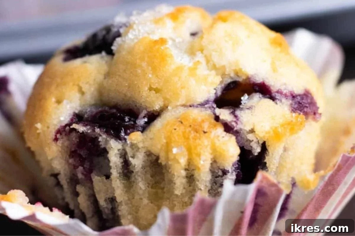 Muffin Magic: 12 Recipes to Conquer Back-to-School Mornings 11 Sweet and flavorful Mini Blueberry Muffins, perfect for parties or snacks.