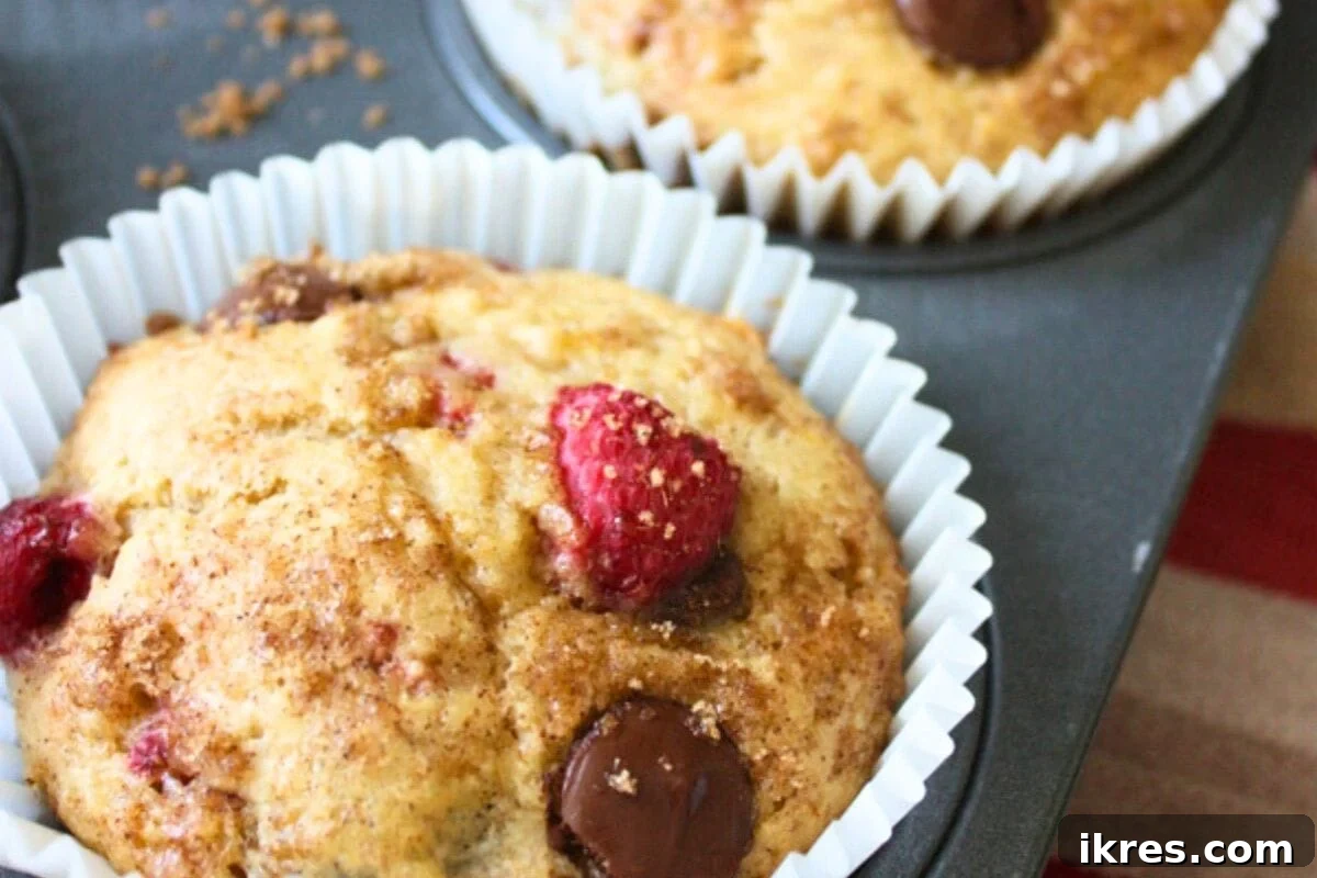Muffin Magic: 12 Recipes to Conquer Back-to-School Mornings 13 Jumbo Raspberry Chocolate Chip Banana Muffins, tender and bursting with flavor.