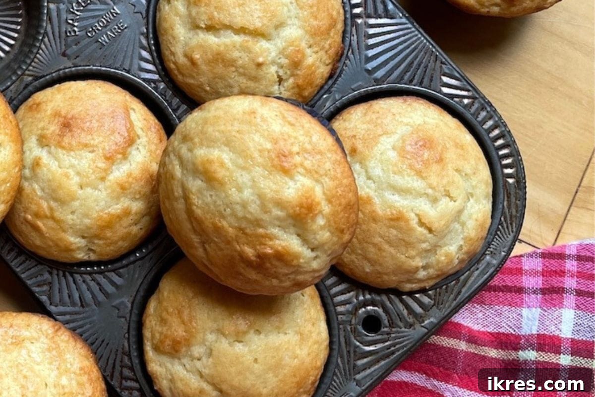 Muffin Magic: 12 Recipes to Conquer Back-to-School Mornings 3 Fluffy and tender Buttermilk Muffins with a subtle hint of honey for breakfast.