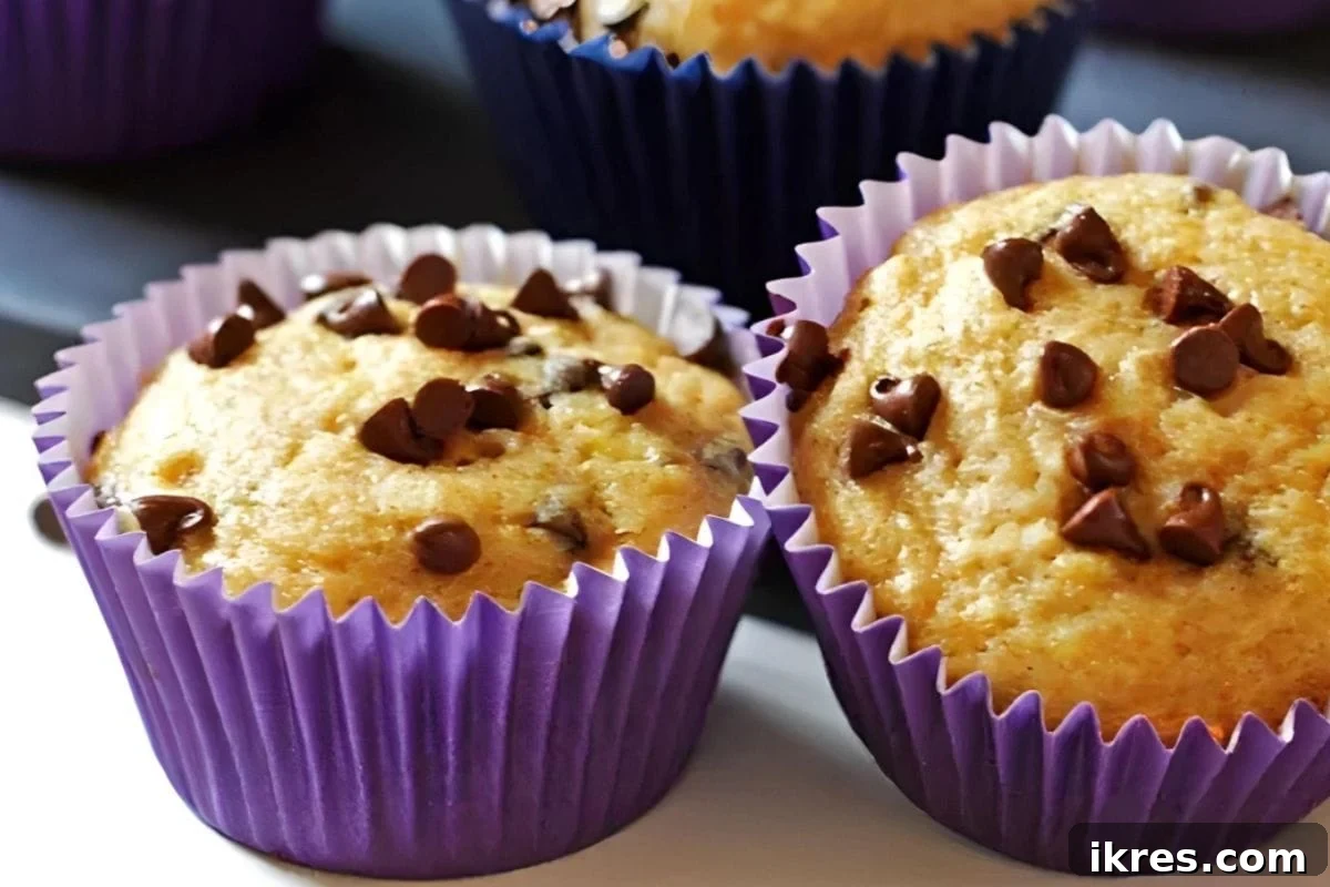 Muffin Magic: 12 Recipes to Conquer Back-to-School Mornings 8 Moist Banana Chocolate Chip Muffins, a crowd-pleasing breakfast treat.