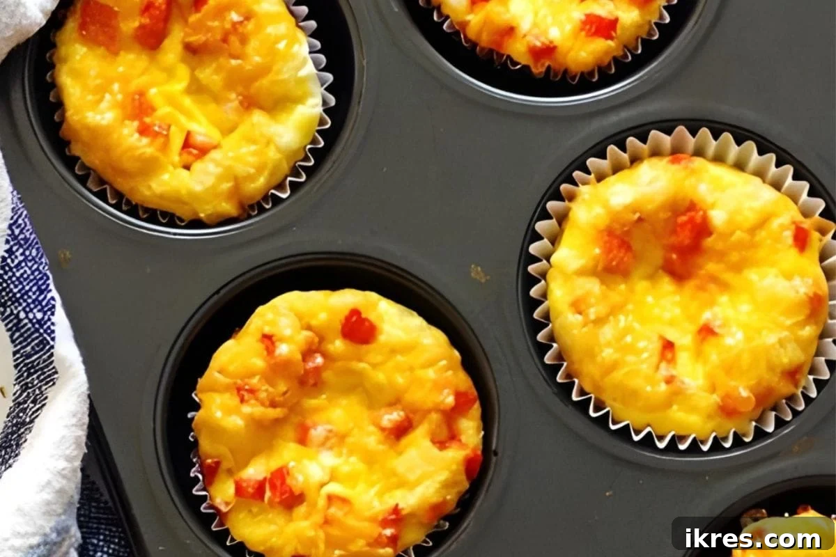 Muffin Magic: 12 Recipes to Conquer Back-to-School Mornings 9 Protein-packed Egg Muffins loaded with veggies, meat, and cheese.