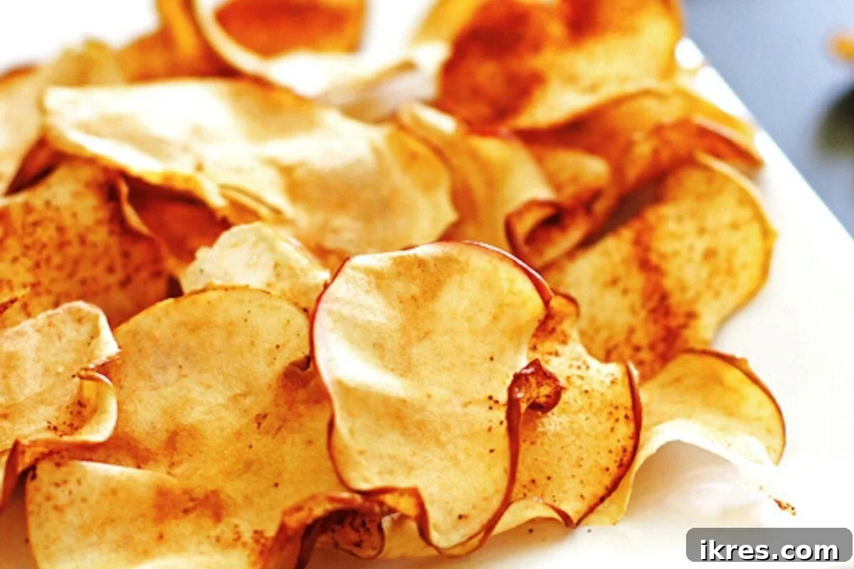 21 Afterschool Snack Hacks Kids Will Devour 9 Thinly sliced crispy baked apple chips in a bowl