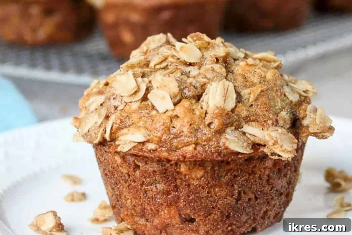Wholesome oatmeal banana muffins with a delightful oatmeal crumb topping