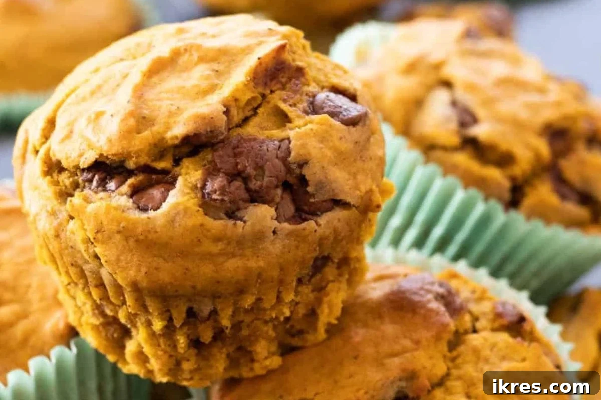 Delicious pumpkin banana muffins loaded with pumpkin spice and chocolate chips