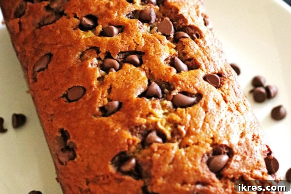 Classic chocolate chip banana bread loaf with an abundance of melted chocolate chips