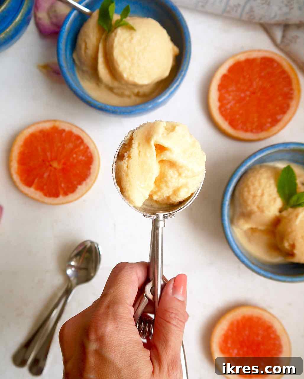 A scoop of homemade grapefruit sorbet on an ice cream scoop.