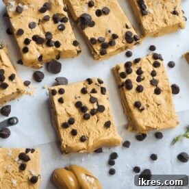 A perfectly portioned Chocolate Chip Peanut Butter Perfect Bar, demonstrating its wholesome appeal.