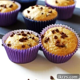 Delicious Banana Chocolate Chip Muffins, golden brown and studded with melted chocolate chips.