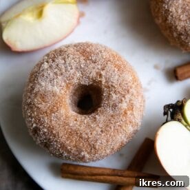 Cinnamon sugar baked apple donuts with a soft, pillowy inside.