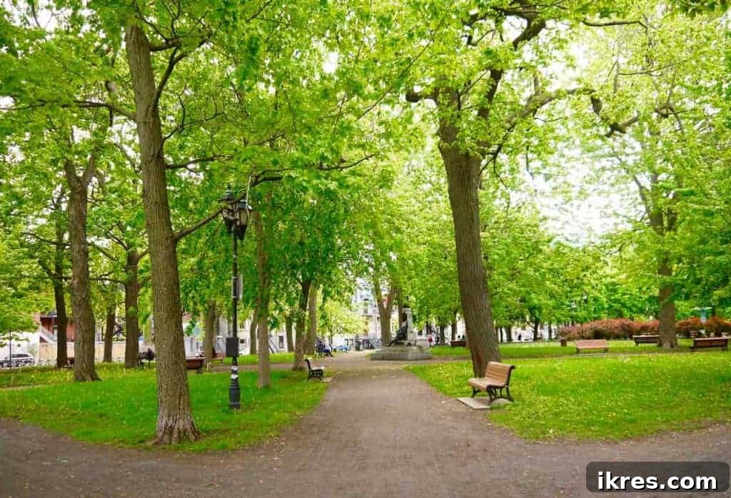 Quebec Destinations Montreal Baie St Paul La Malbaie 13 The Natural Beauty of Montreal's Urban Landscape