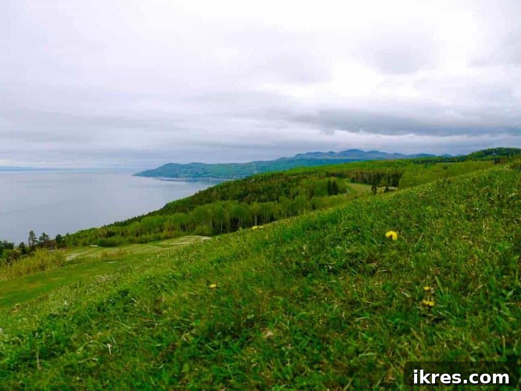 Quebec Destinations Montreal Baie St Paul La Malbaie 42 Charming Coastal Views and Floral Villages in Charlevoix