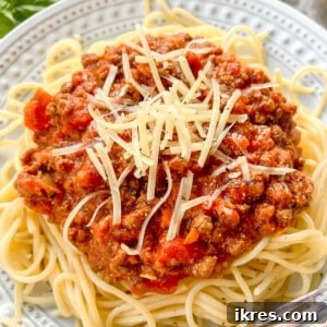 Bison bolognese mixed into spaghetti on a plate.