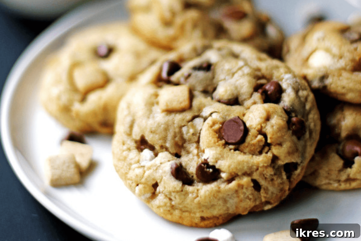 20 Essential Cookie Classics 12 Jumbo S'mores Cookies with toasted marshmallows, melted chocolate, and graham cracker bits.