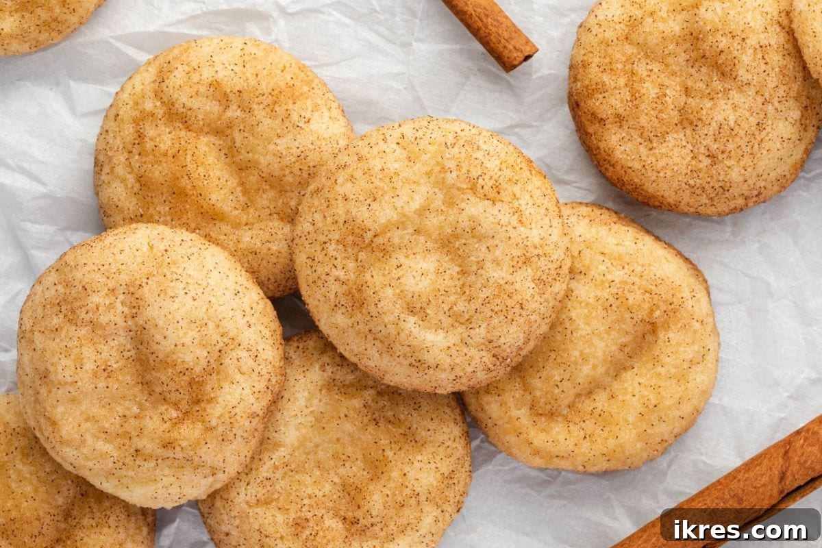 20 Essential Cookie Classics 13 Snickerdoodle Cookies, soft and thick with a perfect cinnamon sugar coating.