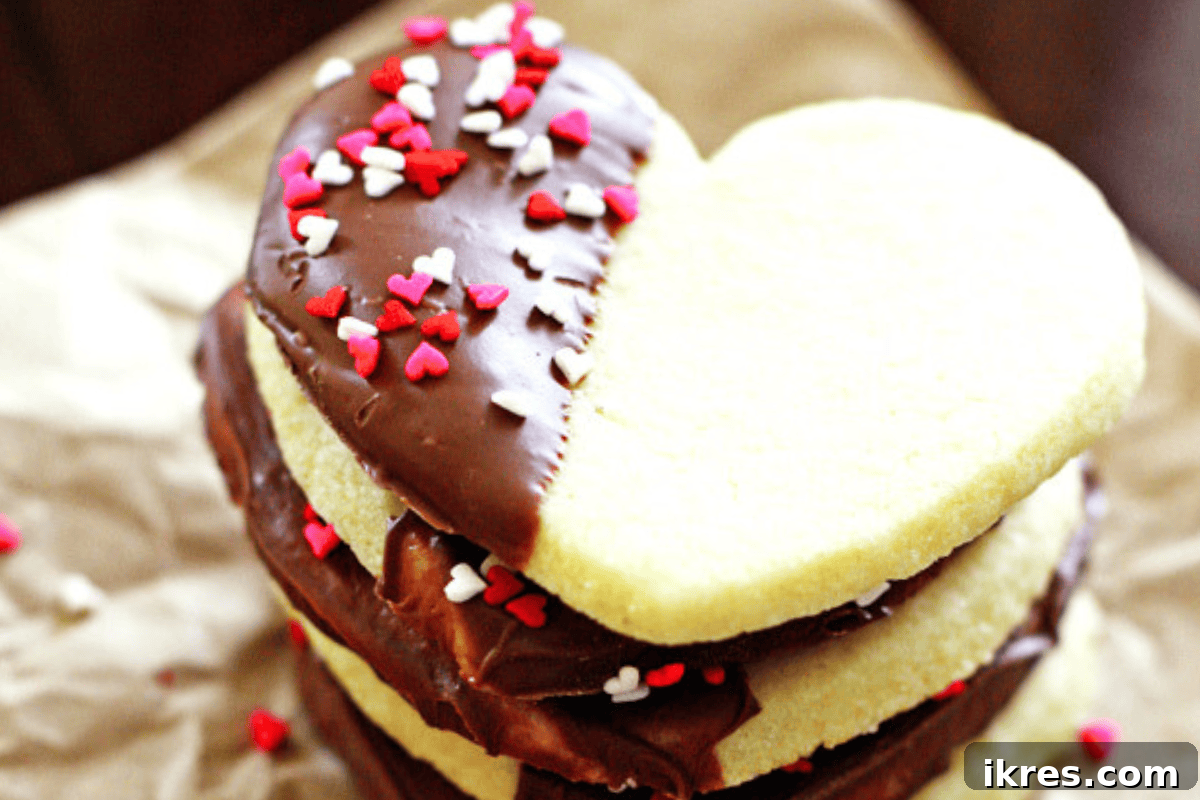 20 Essential Cookie Classics 14 Chocolate Dipped Sugar Cookies, heart-shaped and half-dipped in rich melted chocolate.