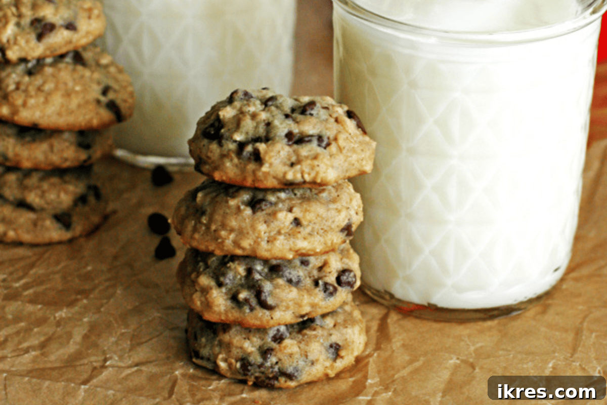 20 Essential Cookie Classics 18 Bite-sized Chewy Oatmeal Chocolate Chip Cookies, soft and inviting.