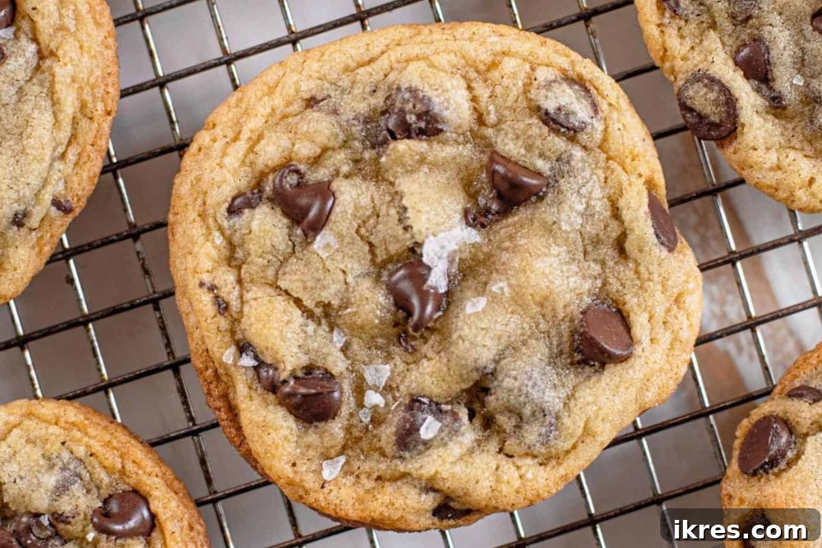 20 Essential Cookie Classics 5 Crispy and Chewy Chocolate Chip Cookie with golden edges and a soft center, loaded with chocolate chips.