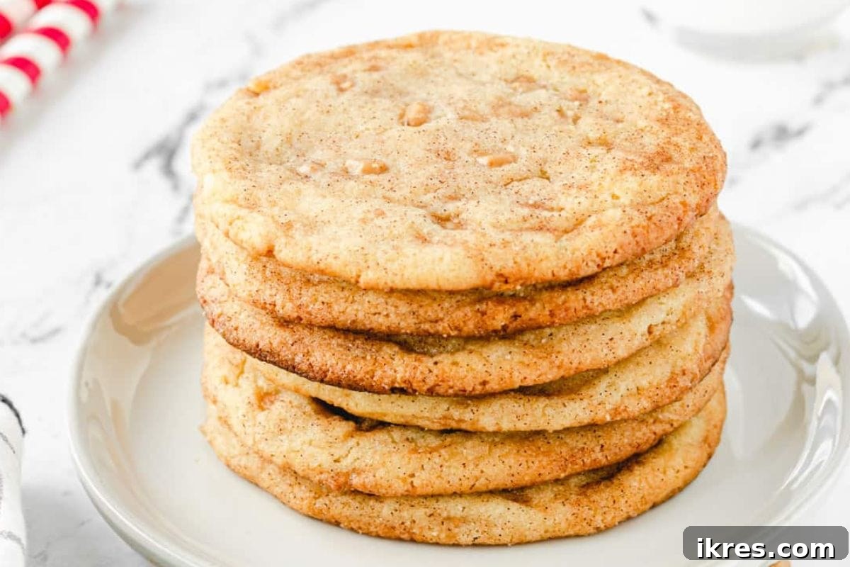 20 Essential Cookie Classics 9 Brown Butter Toffeedoodle Cookie, a soft, rich cookie with toffee bits, dipped in cinnamon sugar.