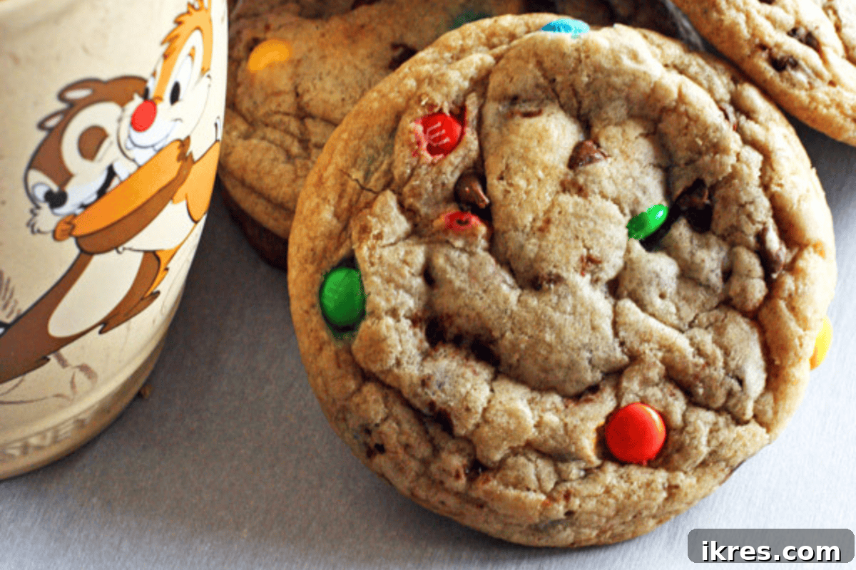20 Essential Cookie Classics 10 Bakery Style Chocolate Chip Cookies, large, soft, and chewy, with melted chocolate chips.