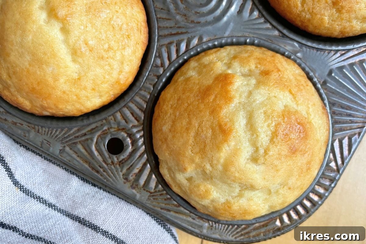 16 Irresistible Muffin Recipes 2 Light, fluffy buttermilk muffins with a subtle hint of honey, perfect for breakfast