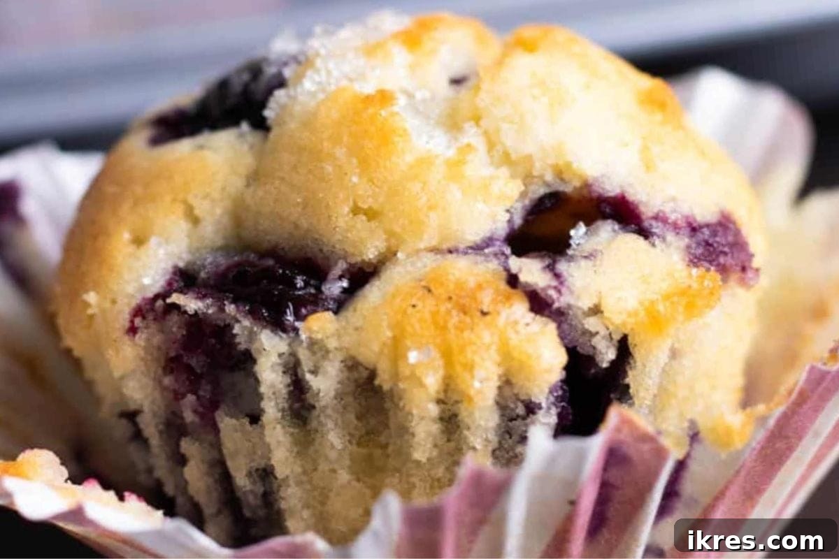 16 Irresistible Muffin Recipes 11 Sweet and flavorful mini blueberry muffins, easy to make and perfect as bite-sized snacks or party treats