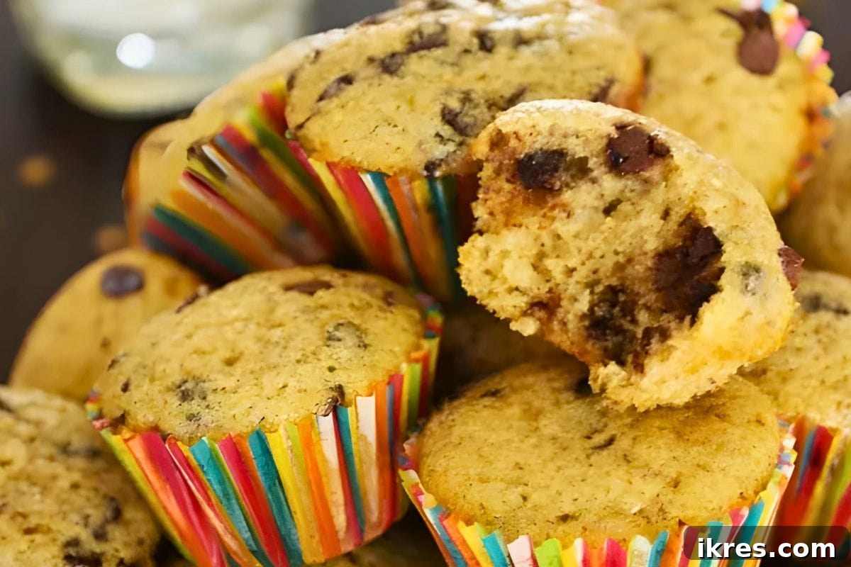 16 Irresistible Muffin Recipes 12 Soft and sweet mini chocolate chip muffins, perfect grab-and-go breakfast for busy mornings