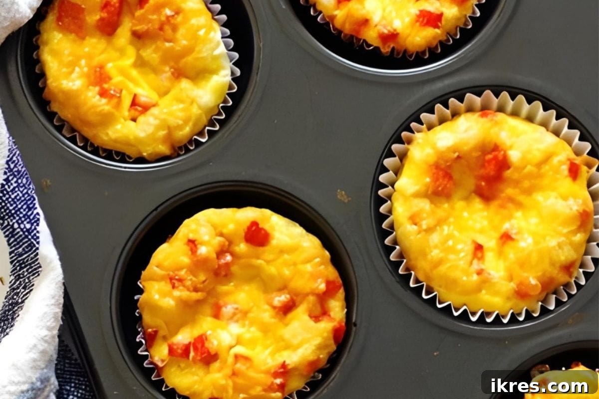 16 Irresistible Muffin Recipes 14 Easy-to-make, protein-packed egg muffins customizable with favorite veggies, meats, and cheese for a grab-and-go breakfast