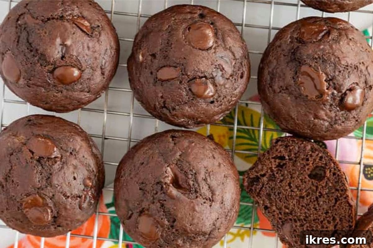16 Irresistible Muffin Recipes 4 Rich double chocolate muffins with a protein-rich base and low added sugar for a satisfying breakfast or snack