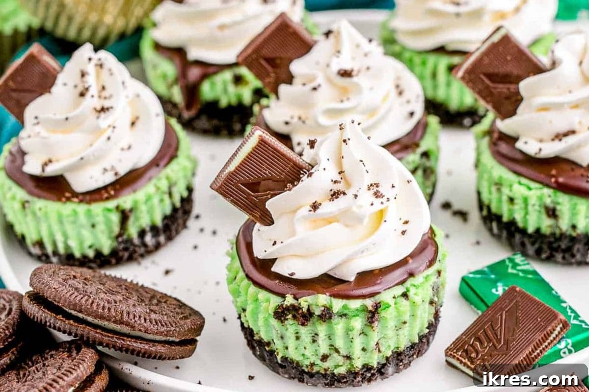 8 Quick St Patricks Day Desserts 3 Mint Chocolate Cheesecake