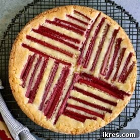 Easy Rhubarb Custard Cake with a creamy texture.