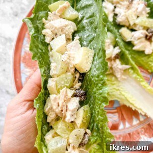 Speedy Rotisserie Chicken Salad Lettuce Cups 10 Healthy Rotisserie Chicken Salad Lettuce Wrap being held in someone's hands, close up of the recipe.