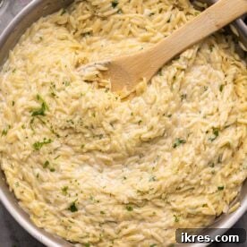 Garlic Parmesan Orzo Pasta, tossed in a cheesy cream sauce.