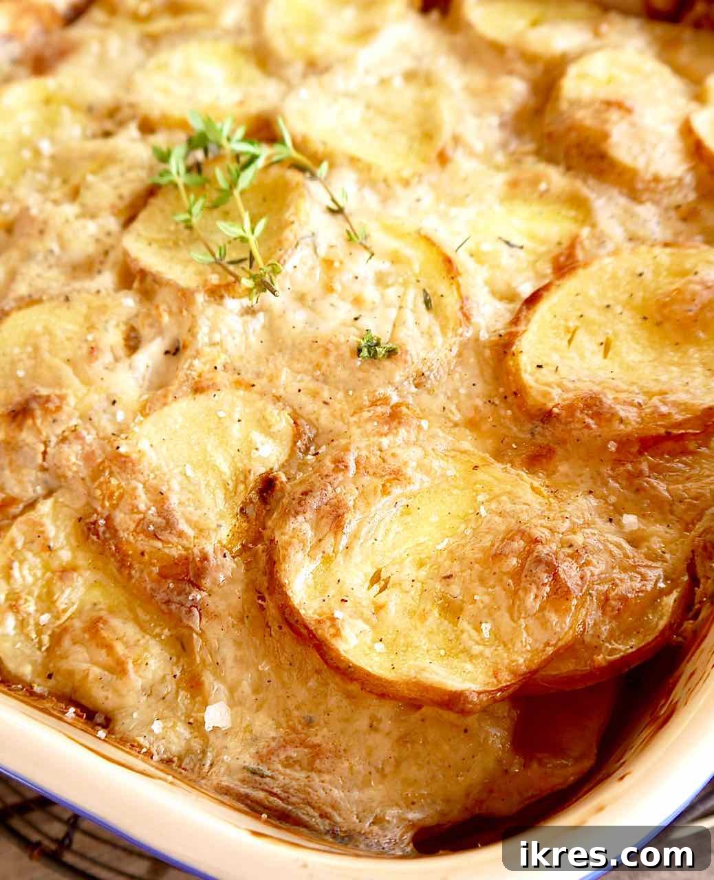 Creamy Dairy Free Scalloped Potatoes Paleo Whole30 Gluten Free 4 Close-up shot of golden, bubbly Whole30 scalloped potatoes with fresh thyme garnish, straight from the oven.
