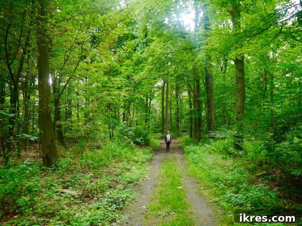 Family fun and outdoor activities near Arnhem | Perchance to Cook